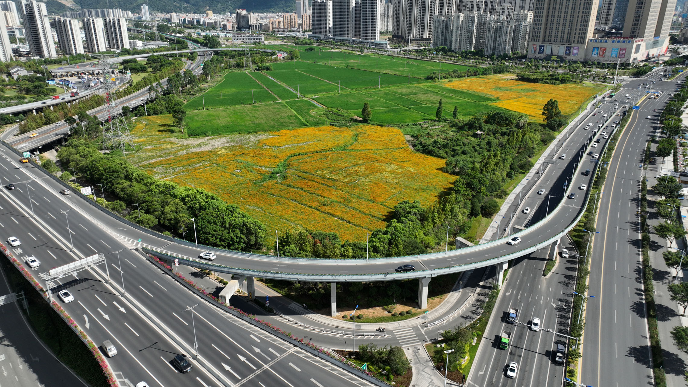 溫州動(dòng)車(chē)南站（寧波路右轉匝道）鋼橋.JPG